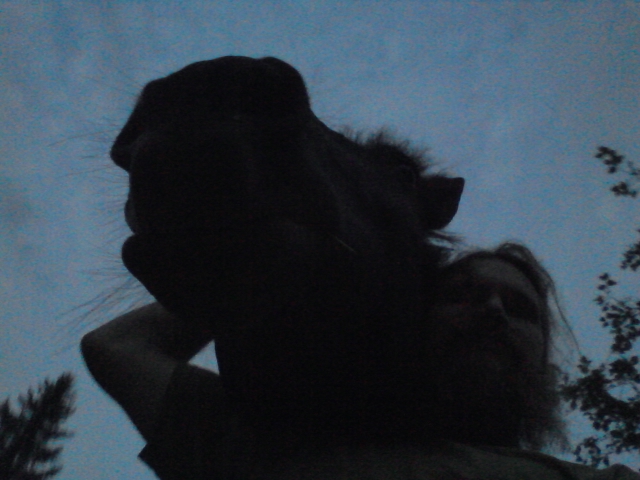 at dusk