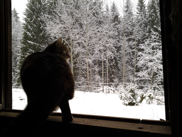 fresh air