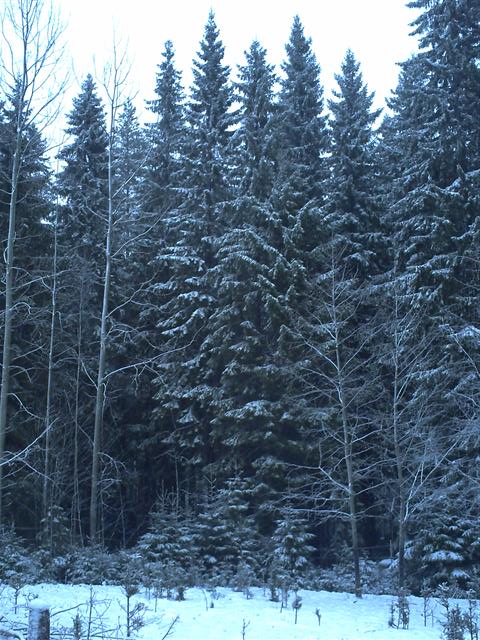winter is here