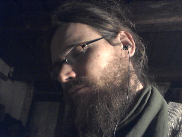 earphones
