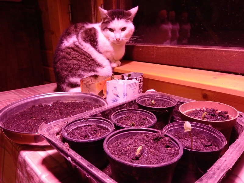 24th of March 2021