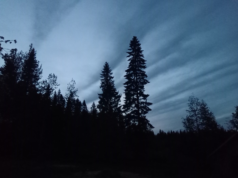 31st of May 2021