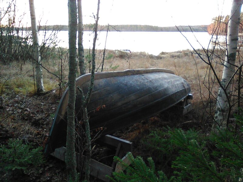 8th of November 2021