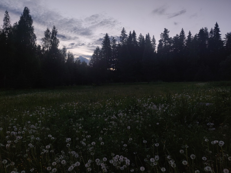 21st of June 2022