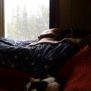 It is raining snow - no wonder the cats are just sleeping on the sofa.