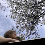 coffee in the garden bathtub