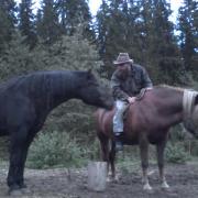 with the horses