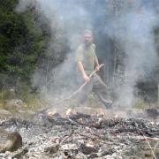 mini-scale slash-and-burn