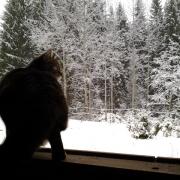 fresh air