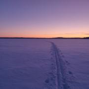 6th of January 2022