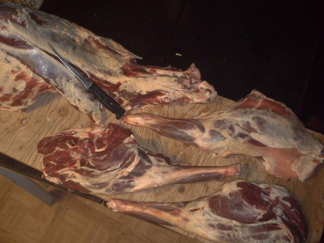 harvesting the backstrap