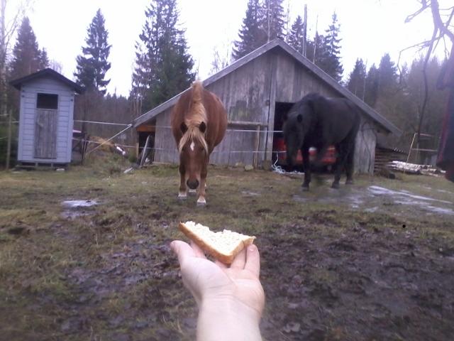Offering a piece of dry bread