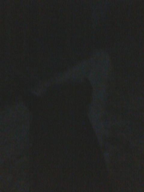 Moonlight ride