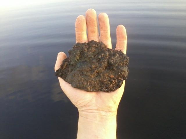 limonite iron ore