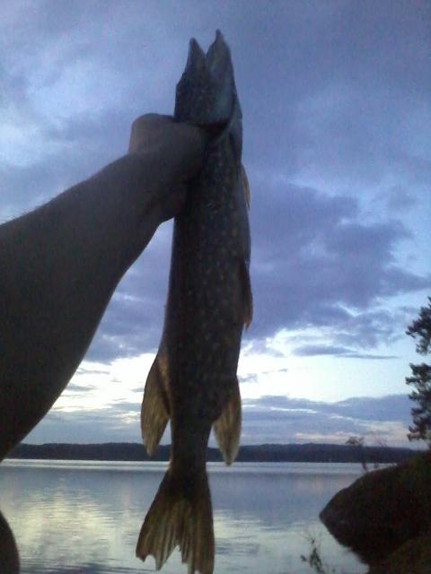 1 am : a pike
