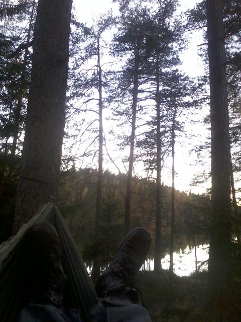Testing my hammock