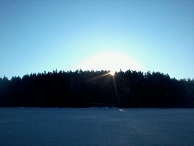 The sun at the treetops