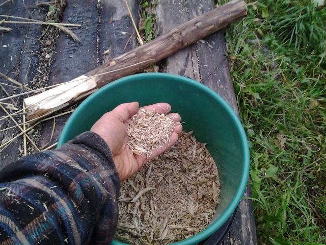 the yield