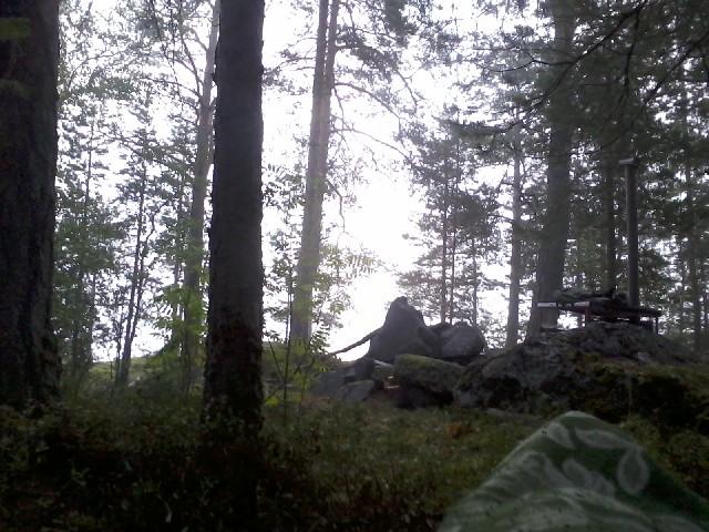 The morning view 