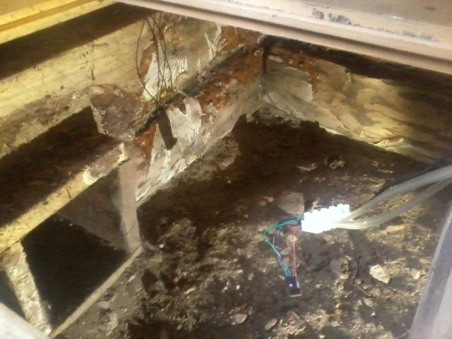 The temperature sensor near a corner where the rot fungi grows
