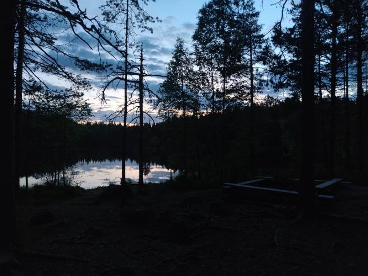 2am in the woods