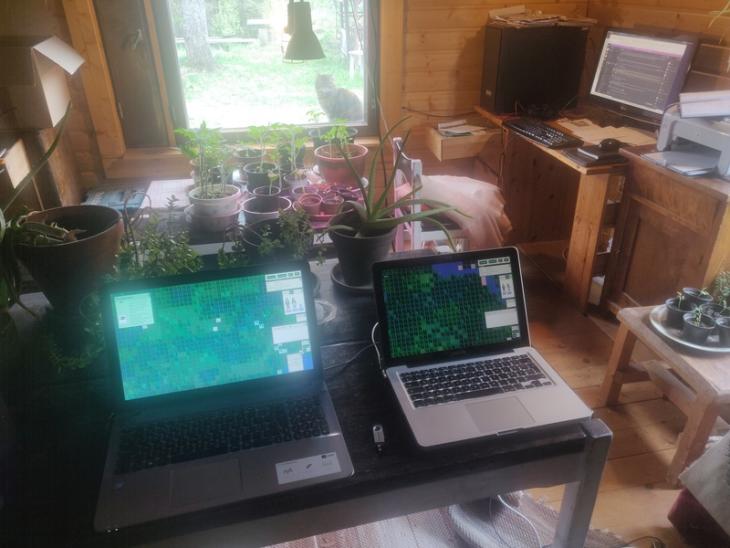Indie developments in the woods - growing both plant saplings, and the game project sapling
