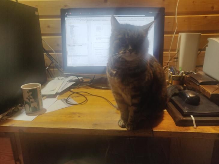 The usual development environment