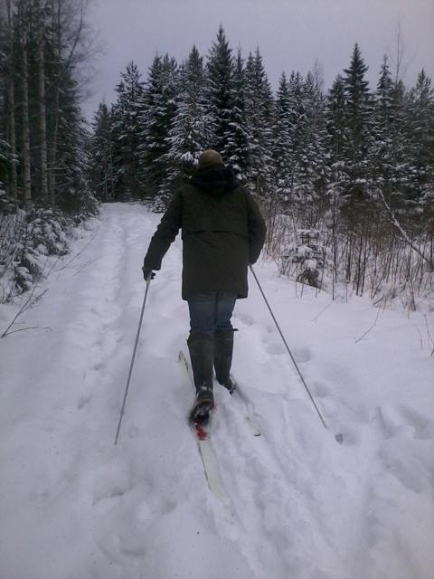 cross-country skiing